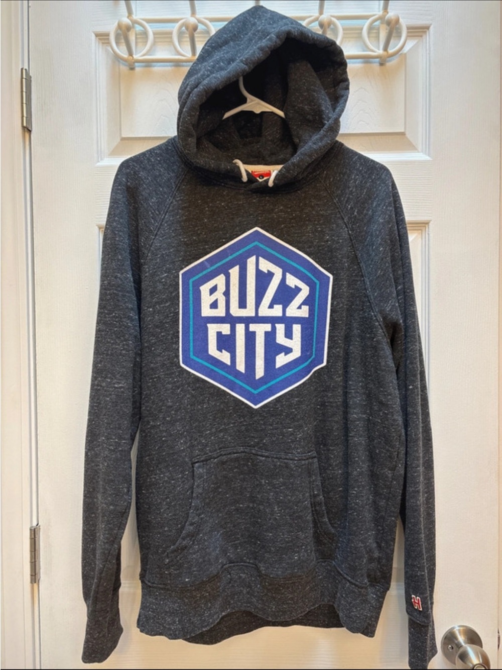 Homage Buzz City Hoodie